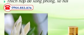 Tinh dầu là gì? Các loại tinh dầu? Phương pháp sản xuất tinh dầu? Công dụng của tinh dầu